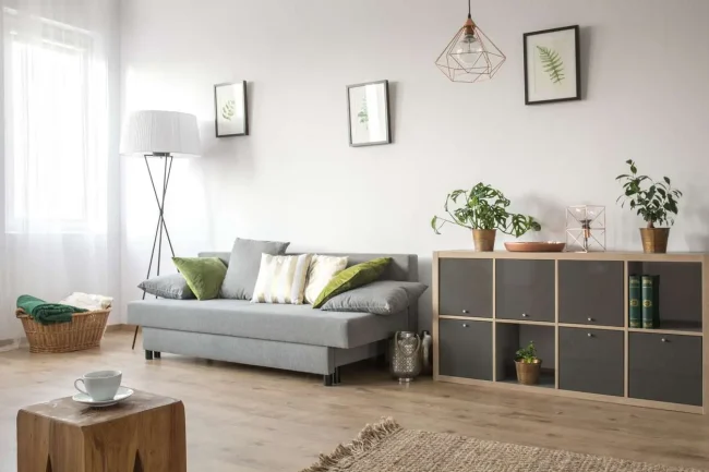 Interior paint: Bright and cozy living room with sofa